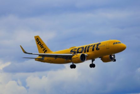 I Met the Love of My Life on Spirit Airlines
