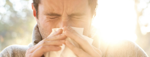 How to Find Relief During Brutal Pollen Allergies