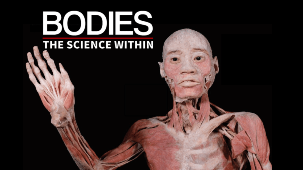 Bodies – The Science Within