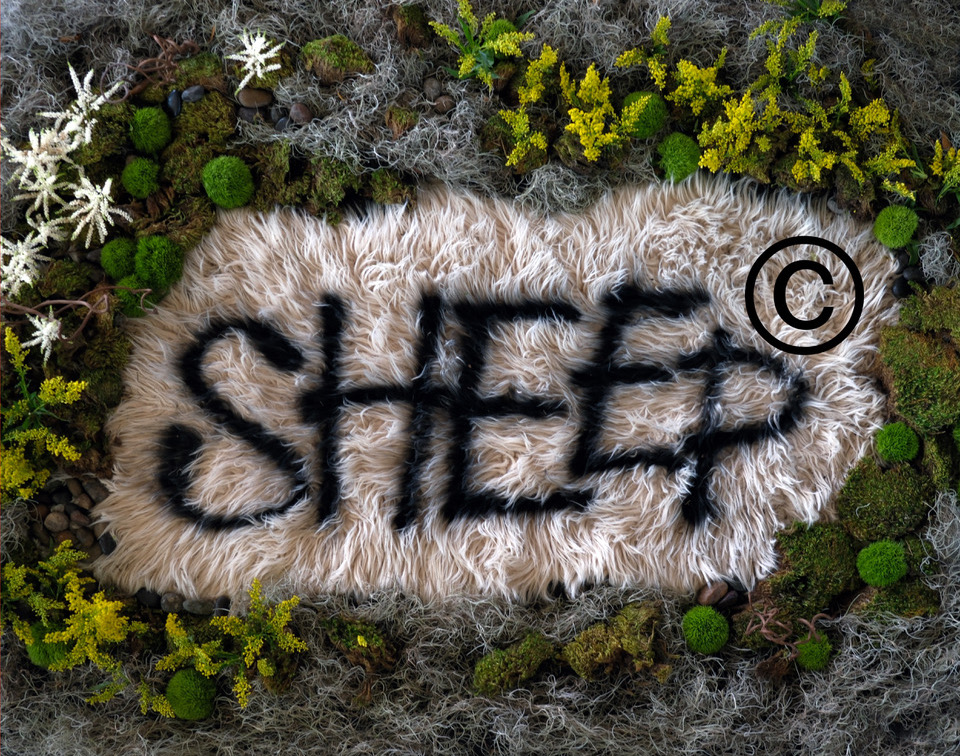 "sheep" spray painted on wool