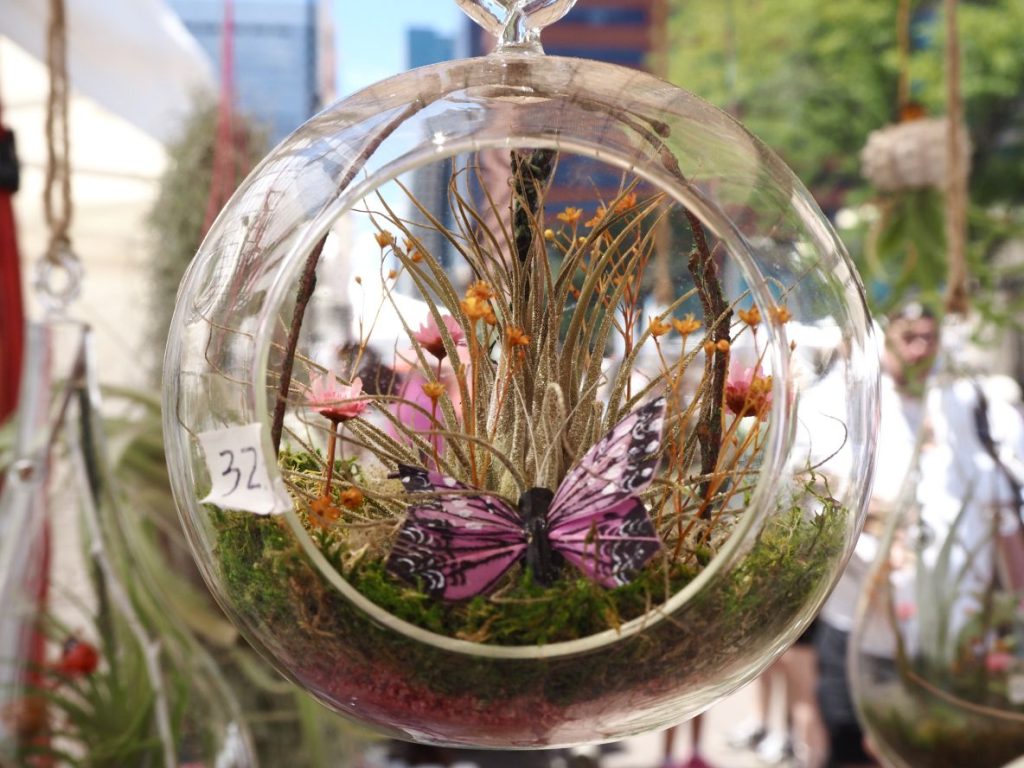 Plant decor