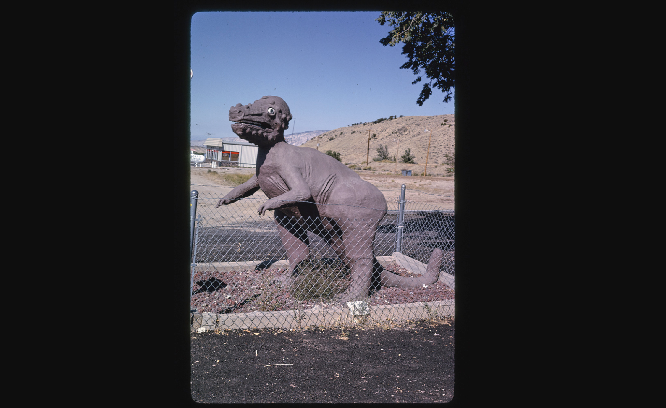 Pachnelephalosaurus statue in dinosaur, colorado, 1991