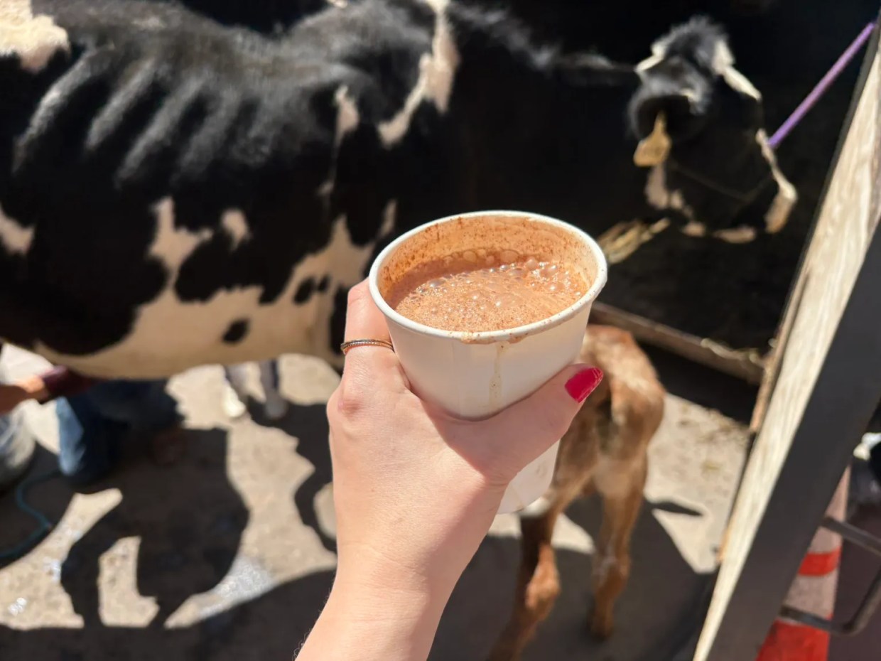 hand holding cup with milk straight from cow