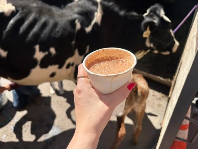 How safe is drinking raw milk?