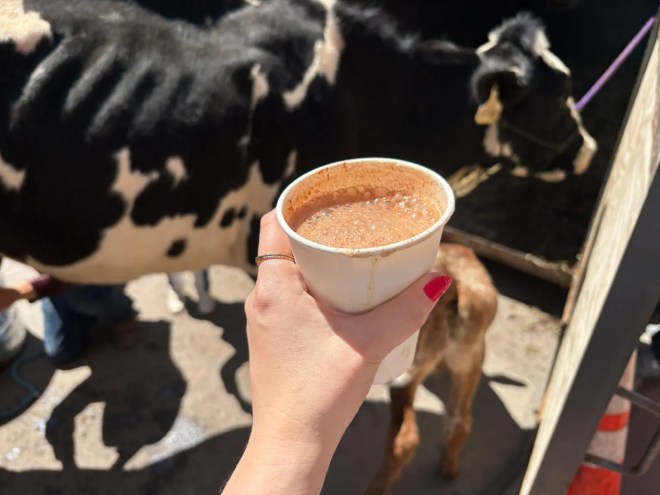 Cow tipping or drinking raw milk: Which is the bigger dare?