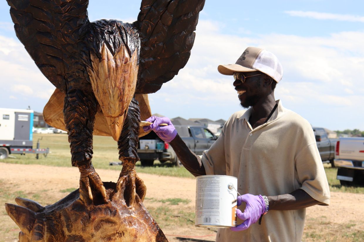 A person carving a bird from wood