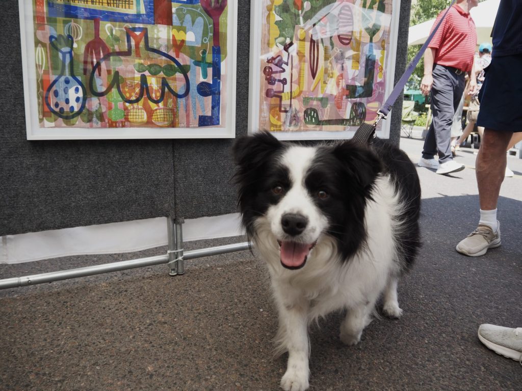 A dog at the Cherry Creek Arts Festival
