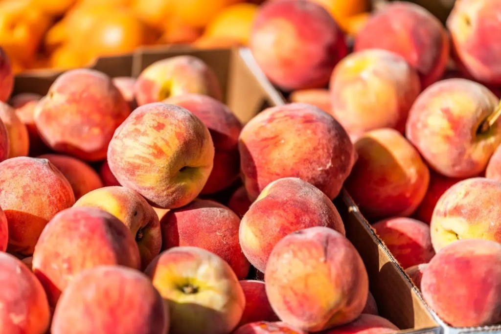 Cases of Palisade peaches