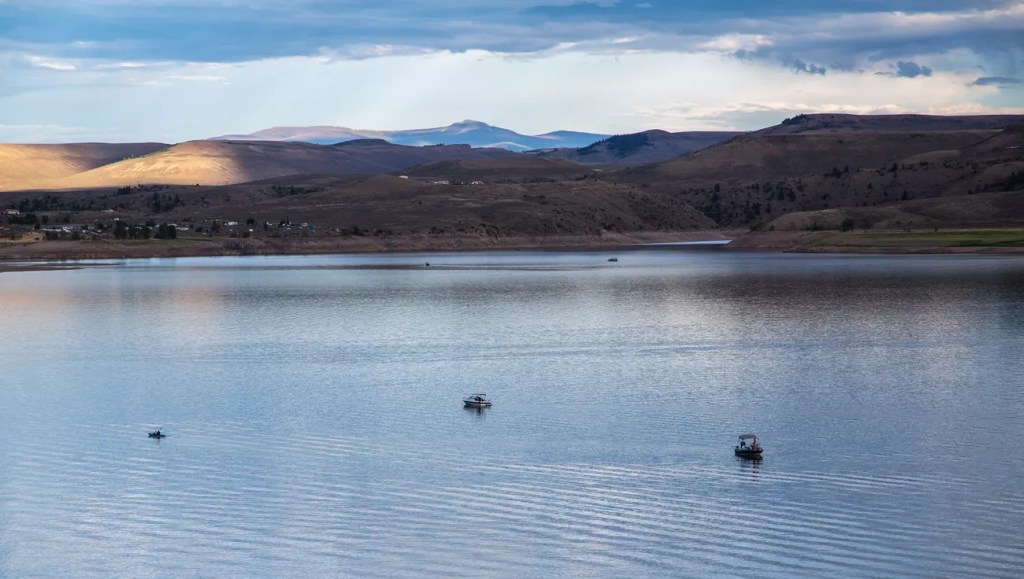 Boats on Blue Mesa Reservoir
