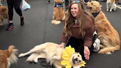 Golden Retriever Rescue of the Rockies has built an empire of second chances