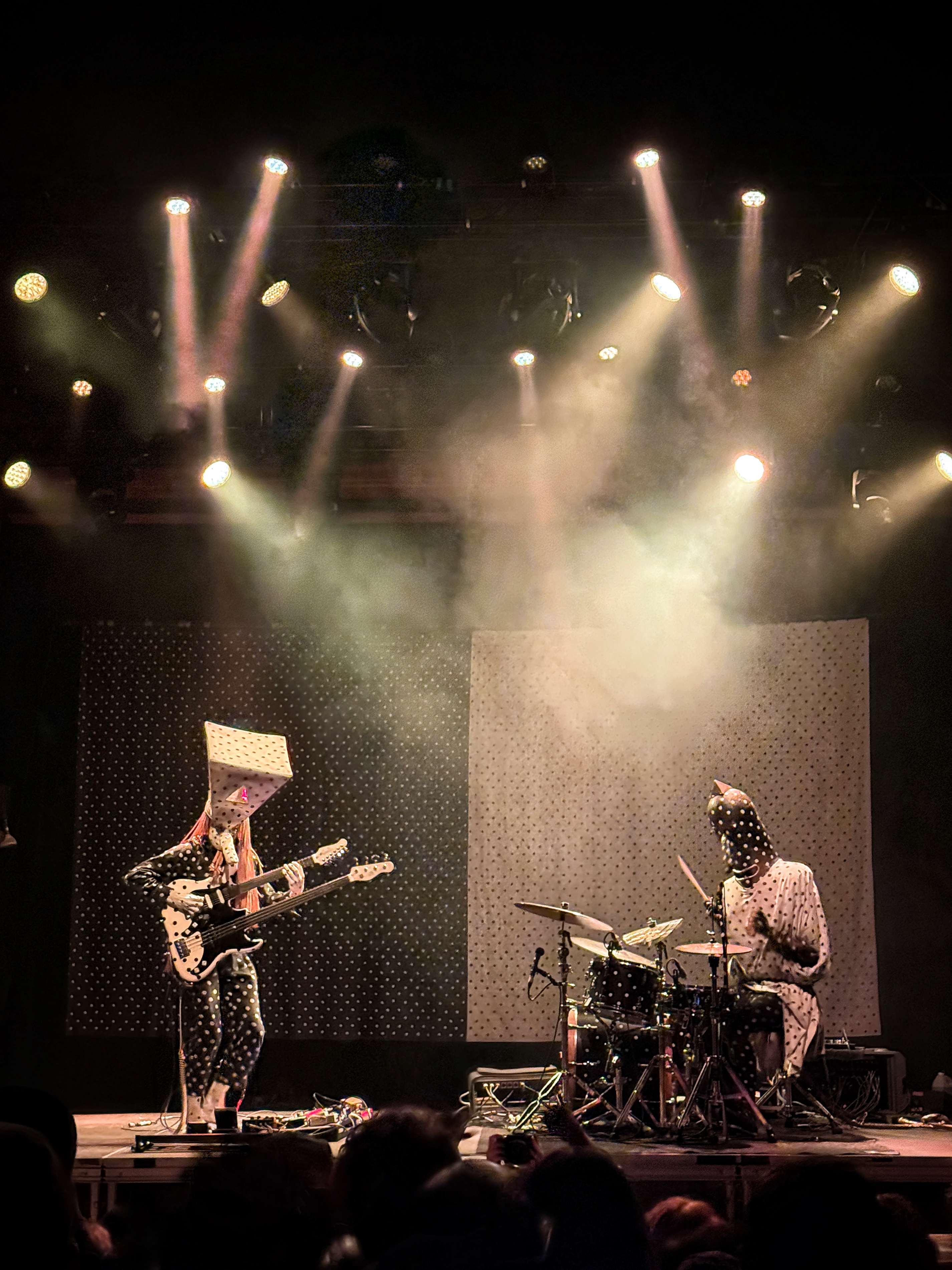 Angine de Poitrine play at the Ogden Theatre