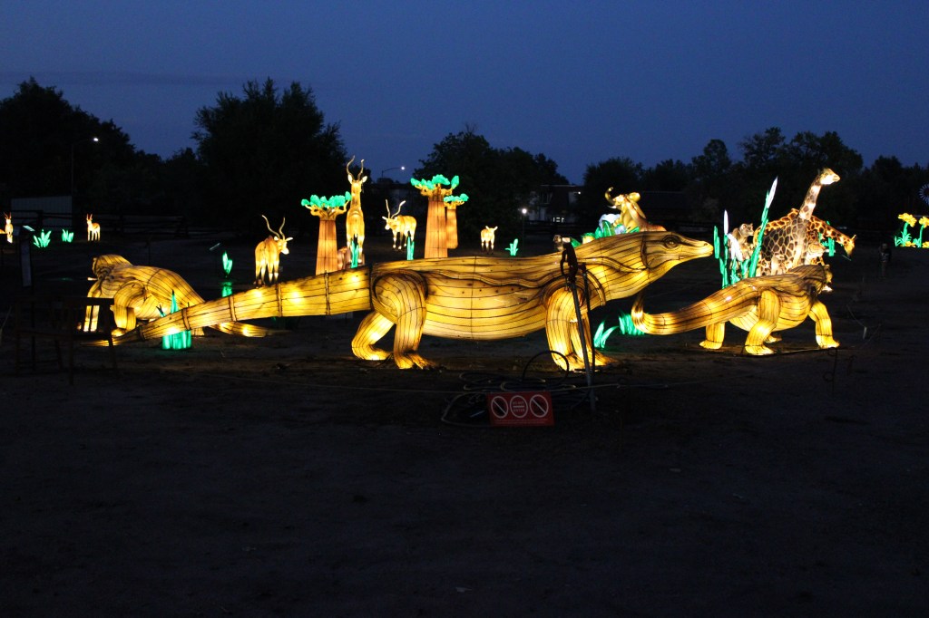 Animal lanterns