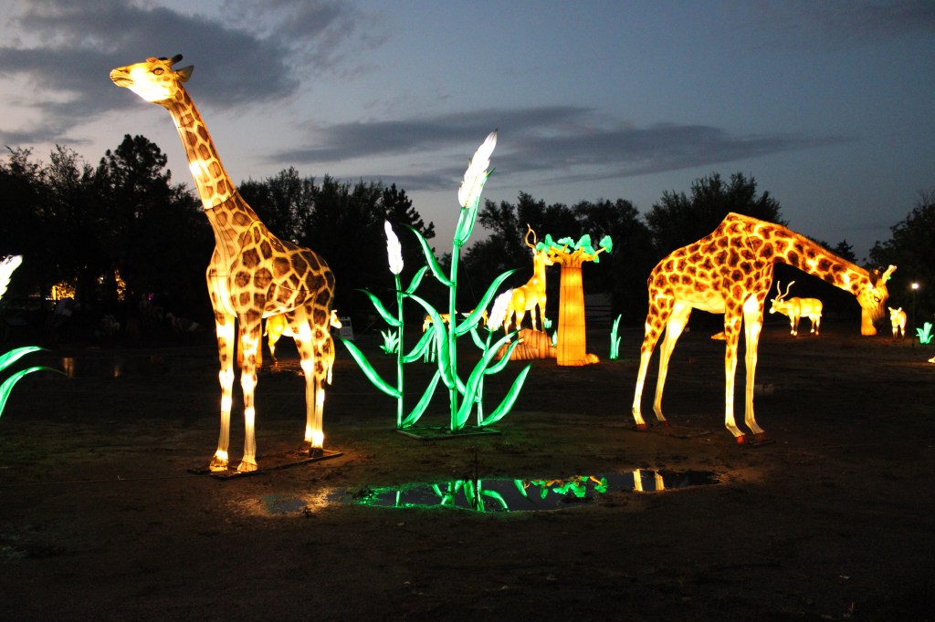 Giraffee lanterns
