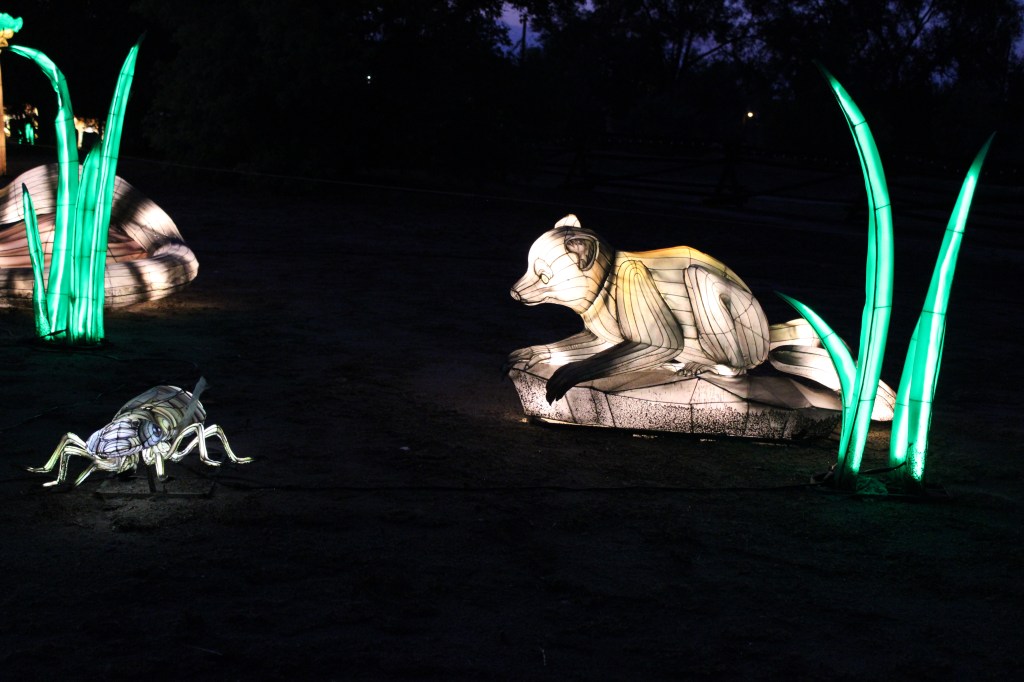 A small rodent and bug lanterns