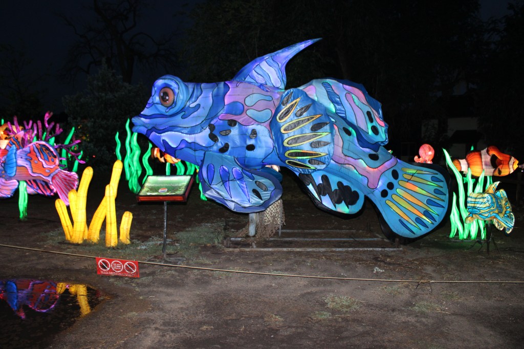 Sea creature lanterns
