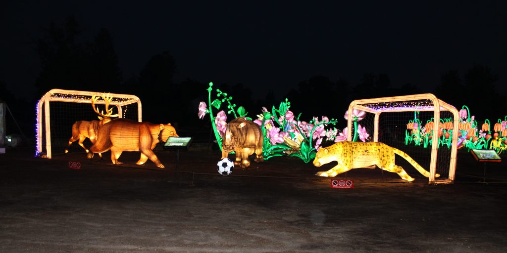Animal lanterns playing soccer