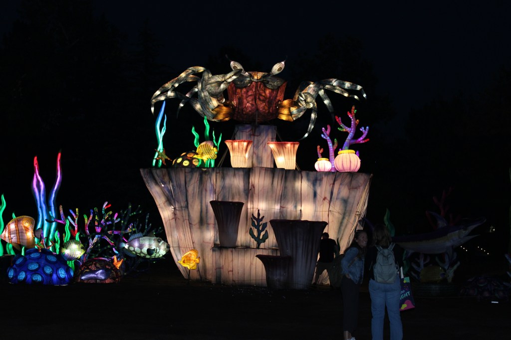 A massive crab lantern