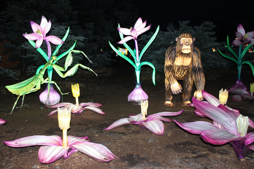 Bug, chimp and flower lanterns