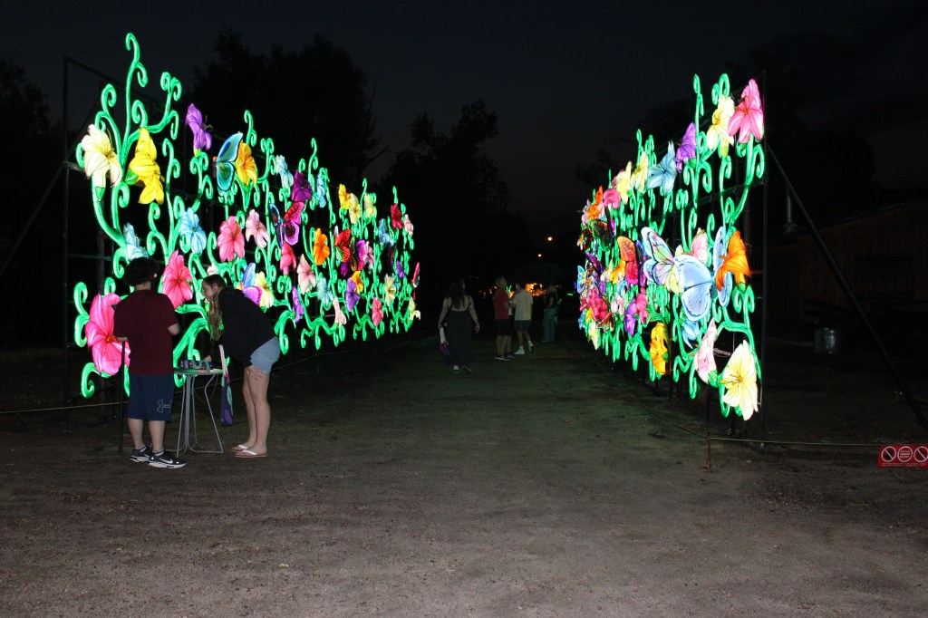 People wander flower lanterns