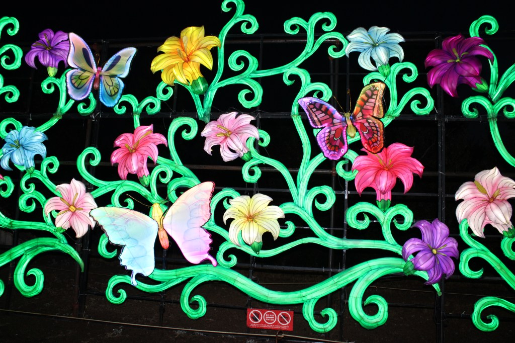 Flower and a butterfly lanterns