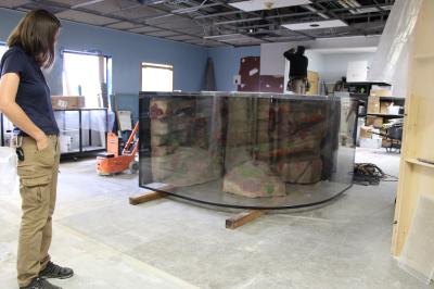 Butterfly Pavilion expands its aquatic exhibit
