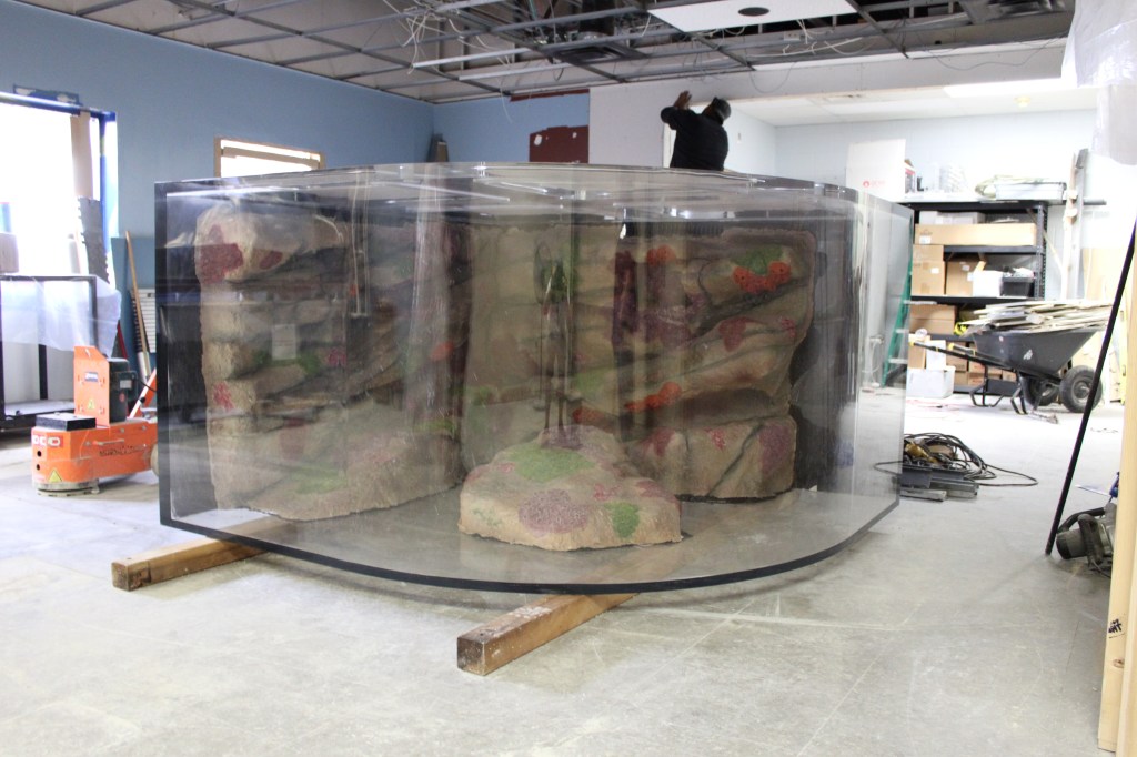 A new octupus tank