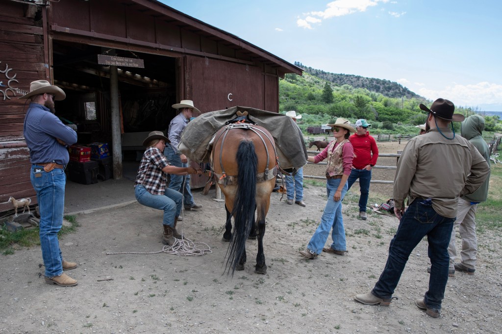 A group of men and women packing a horse's panniers