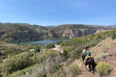 Operation Equine helps veterans find healing on horseback