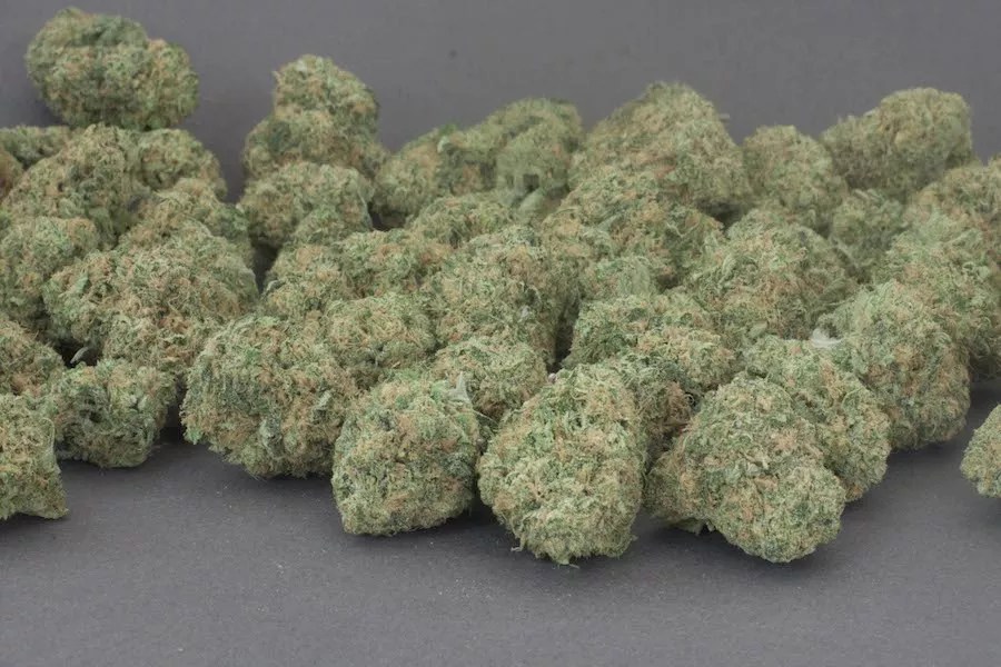 Blue Dream Slipping as Colorado’s Most Popular Strain