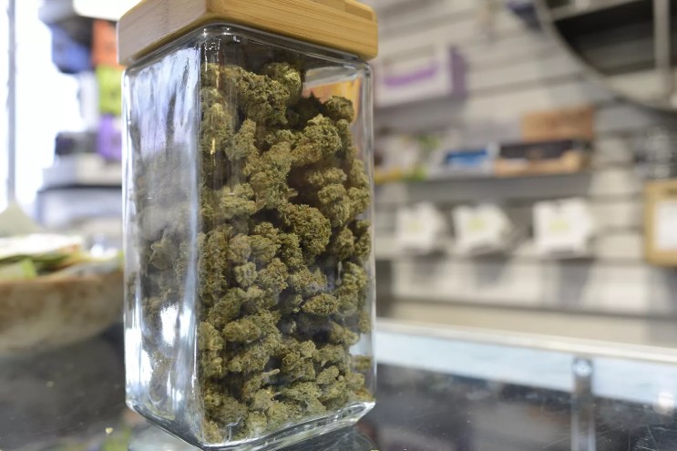 A jar of weed inside of a Denver dispensary