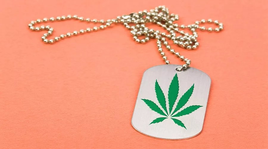 Op Ed: Military Veterans Are a Huge Asset to Legal Cannabis
