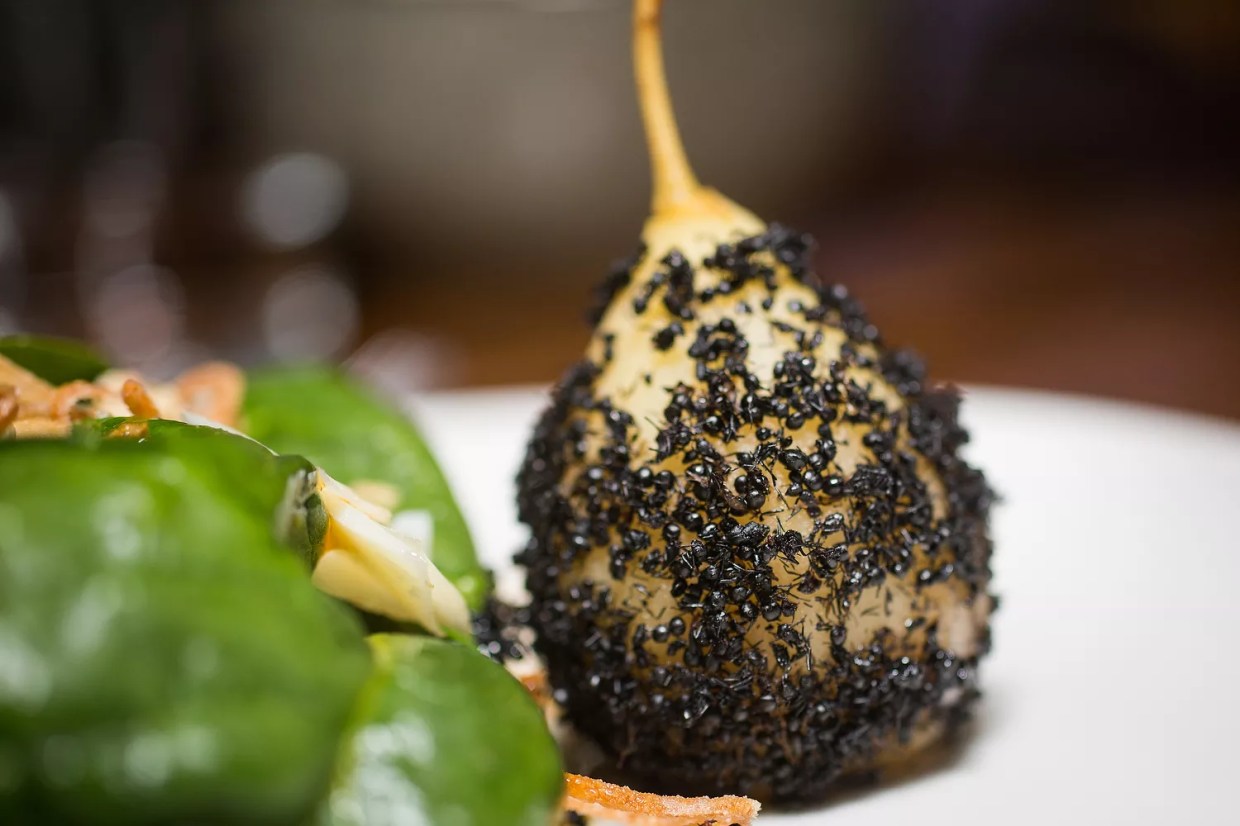 Photos: Buggin’ Out at Linger’s Bug Banquet & Benefit