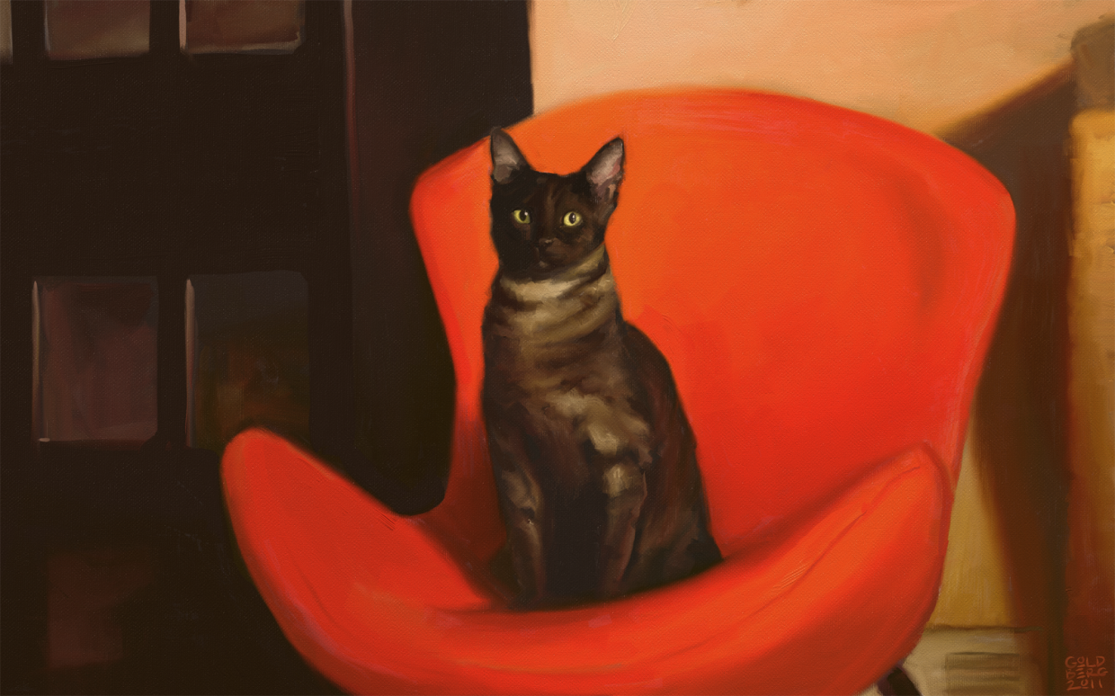 100 Colorado Creatives 3.0: Cayce Goldberg