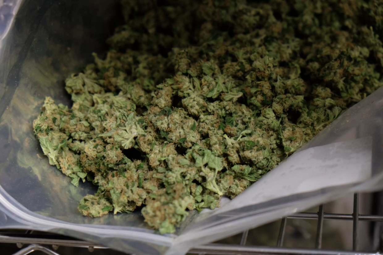 Big bag of weed