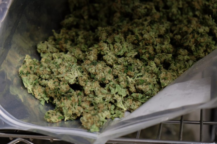 Big bag of weed