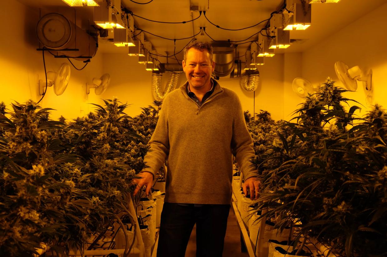 Colorado’s Cannabis Industry Helped Bring the Levitt Pavilion – and Free Shows
