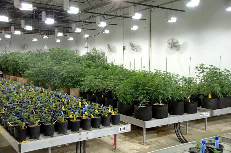 Colorado Springs Won’t Put Recreational Marijuana Sales on November Ballot