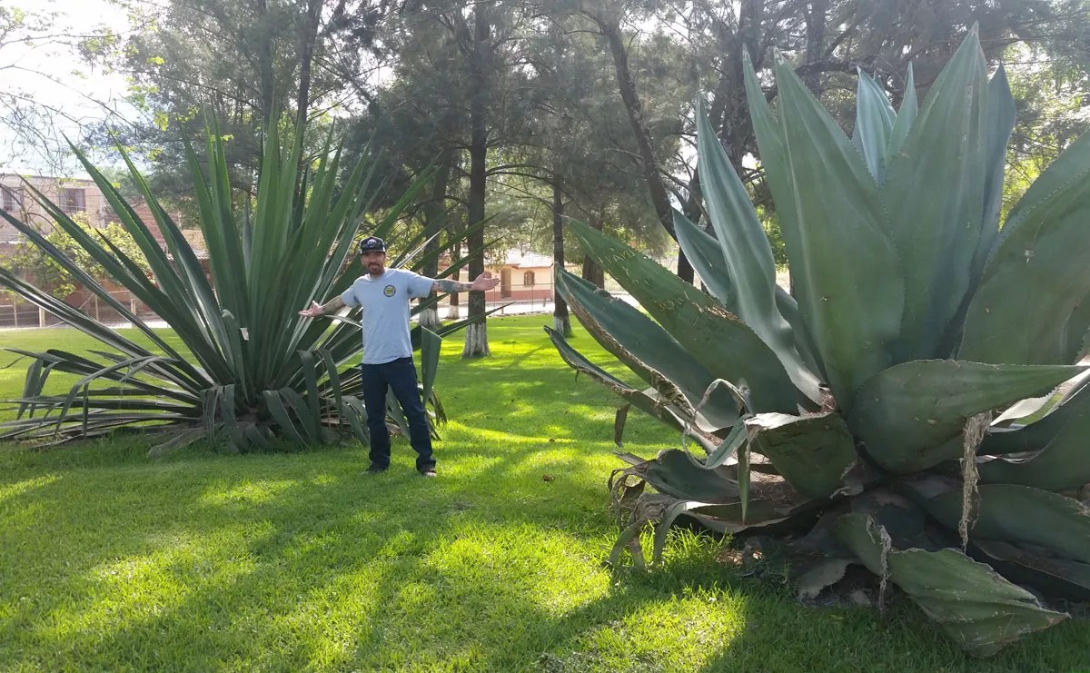 Brian Rossi of Adelitas Talks Tequila, Mezcal, Palenque…and Ice Cream!