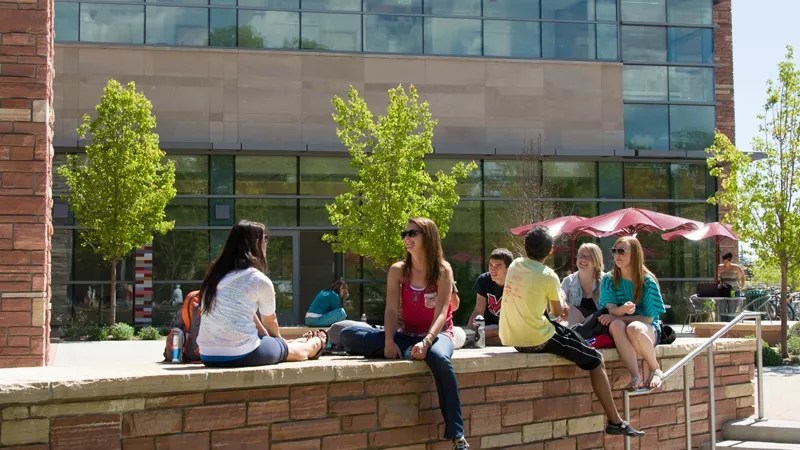 Colorado State University Study Shows Marijuana May Not Help Depression