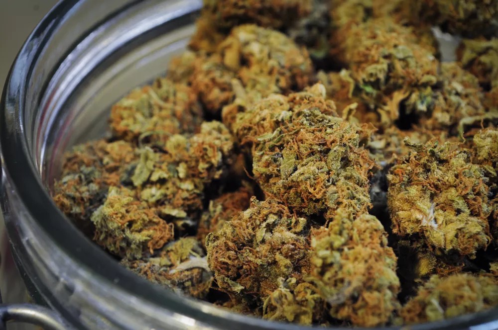 New Research Links Marijuana Use to Strokes, Heart Failure