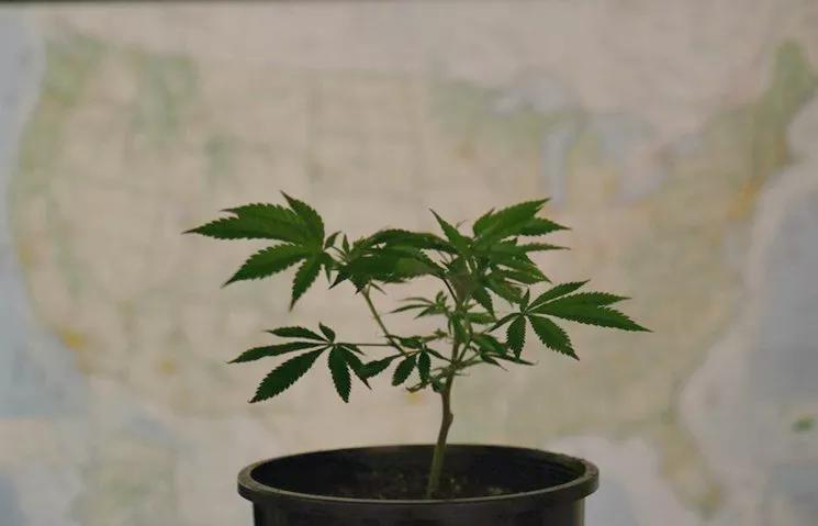 John Hickenlooper, Three More Governors With Legal Pot Send Letter to Jeff Sessions