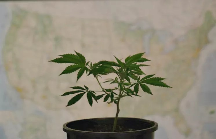 John Hickenlooper, Three More Governors With Legal Pot Send Letter to Jeff Sessions