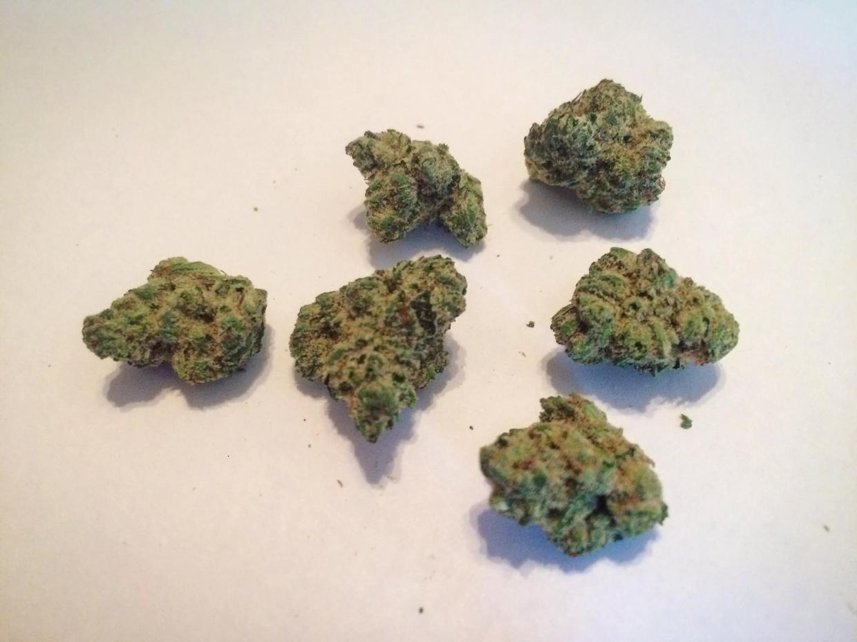 Why Colorado Tokers Love Lee Roy