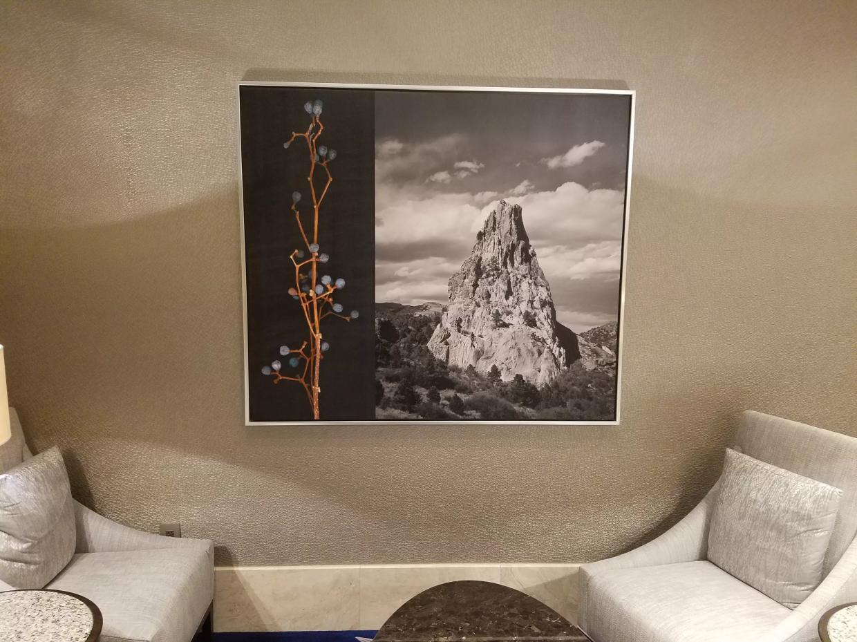 Ritz-Carlton Creates an Urban Adventure With New Art Collection