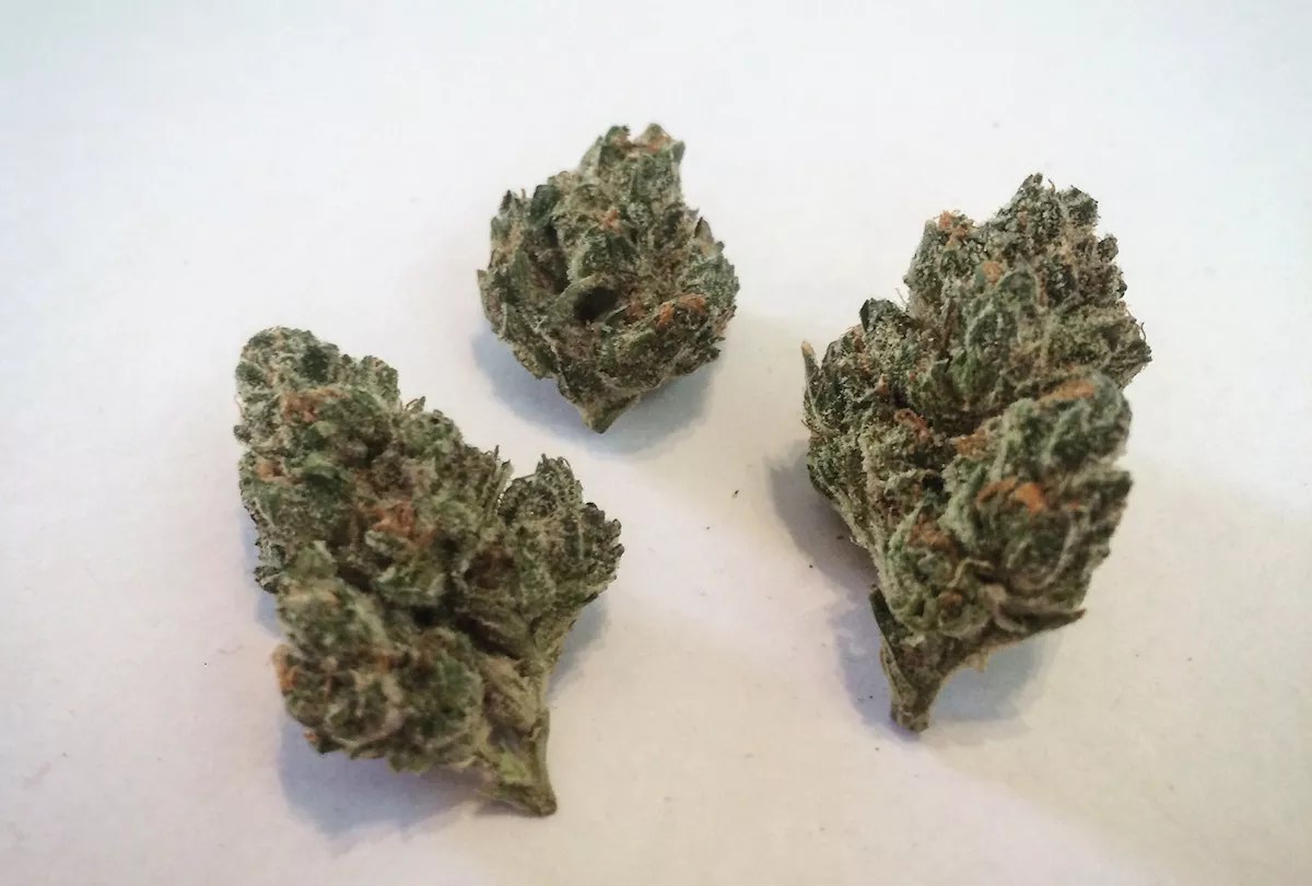 Why Colorado Tokers Love Race Fuel OG