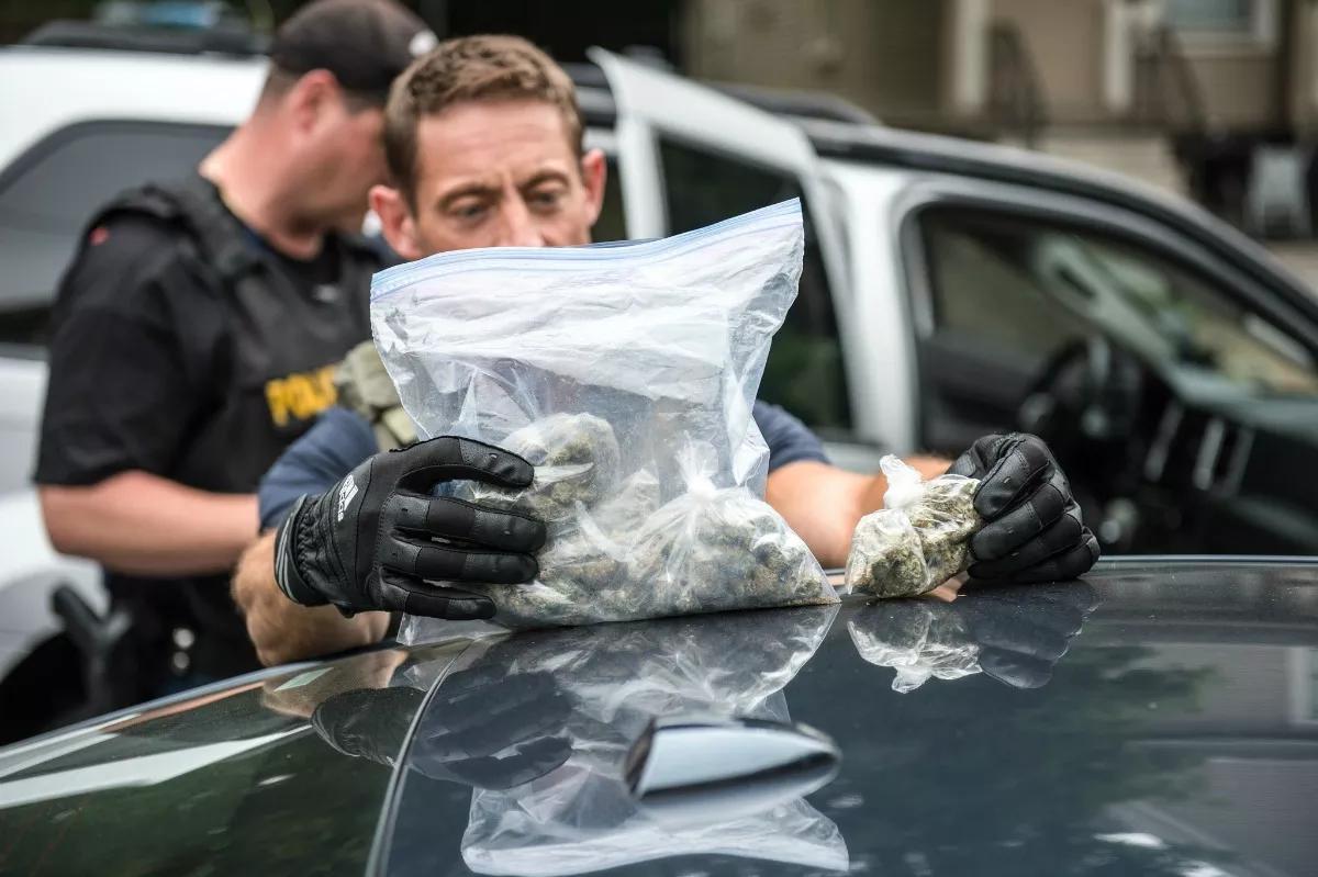 Five Things to Know About Federal Marijuana Drug Cases