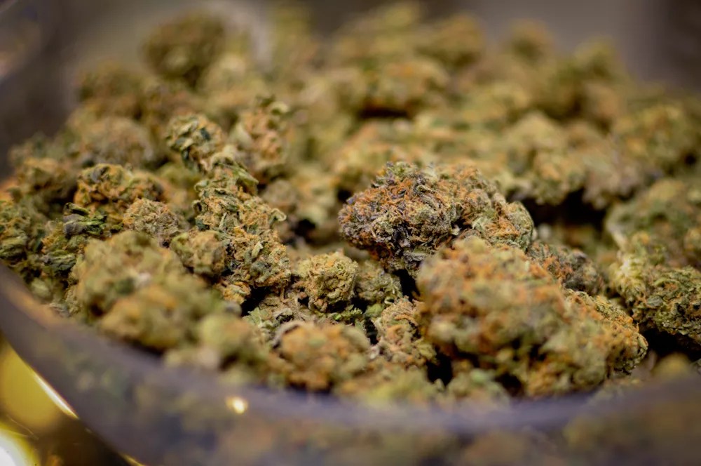 BDS Analytics Survey Compares Colorado and California Attitudes on Pot