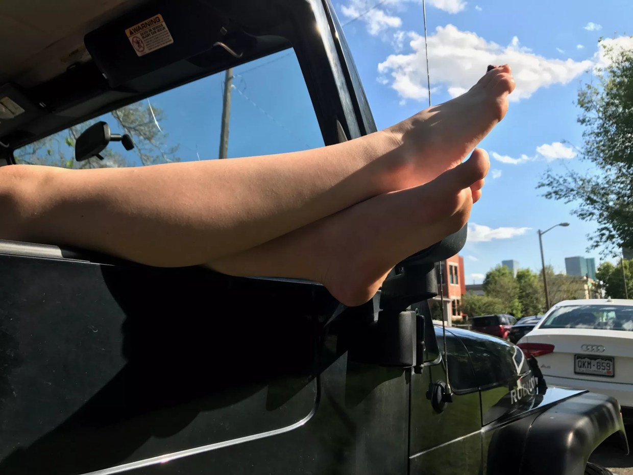 Tips for Transplants: Rules for June