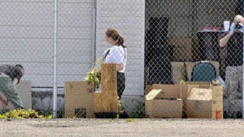 Eleven Ways the Trump Administration May Try to Kill Legal Marijuana