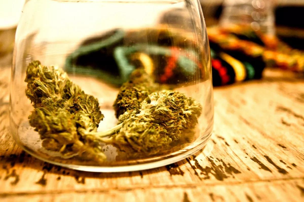 The ABCs of Marijuana Slang From the DEA